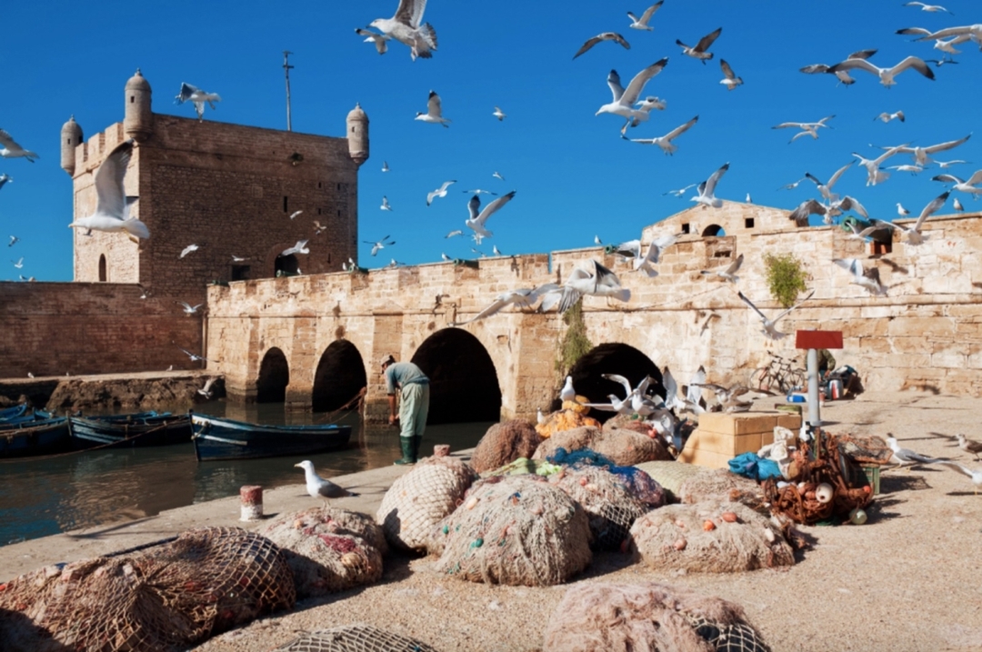 From Marrakech To Essaouira Mogador Full Day Trip | Share Group Tour 9