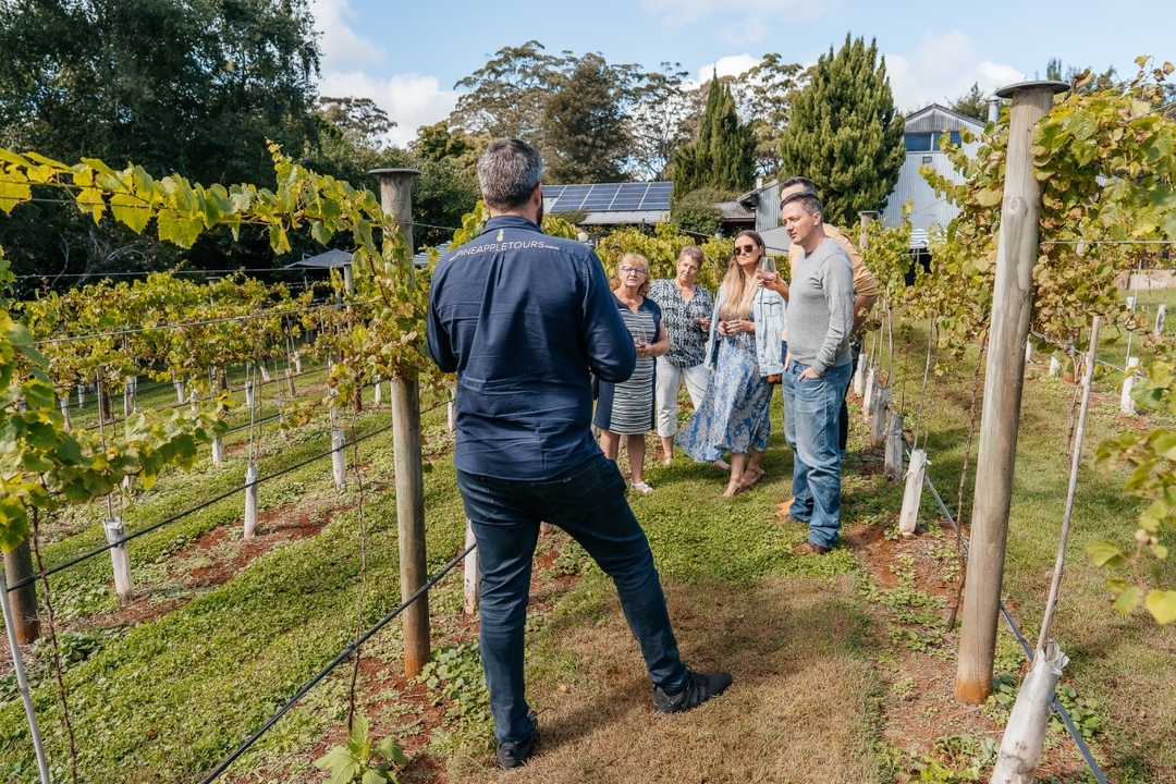 Tamborine Mountain - Wine Tasting Tour - From Brisbane or Gold Coast 4