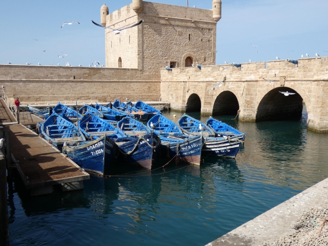 Day Trip to Essaouira from Marrakech 4