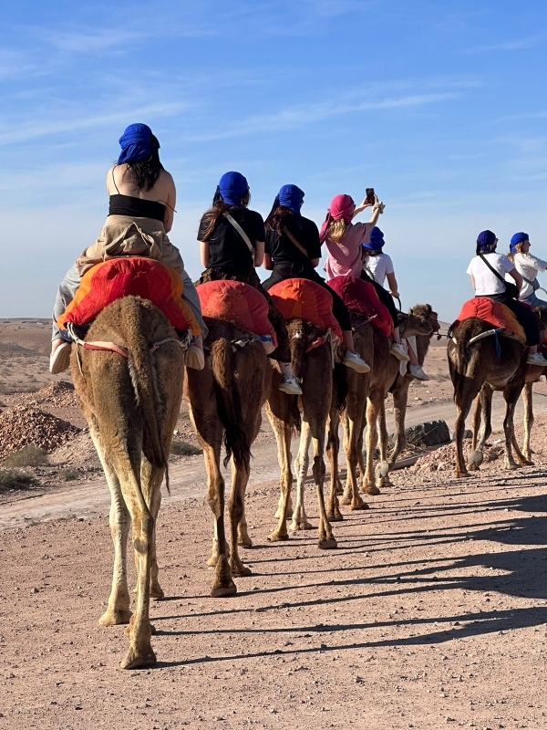 Paragliding + Camel Tour in Agafay: 1-Hour Desert Adventure 6