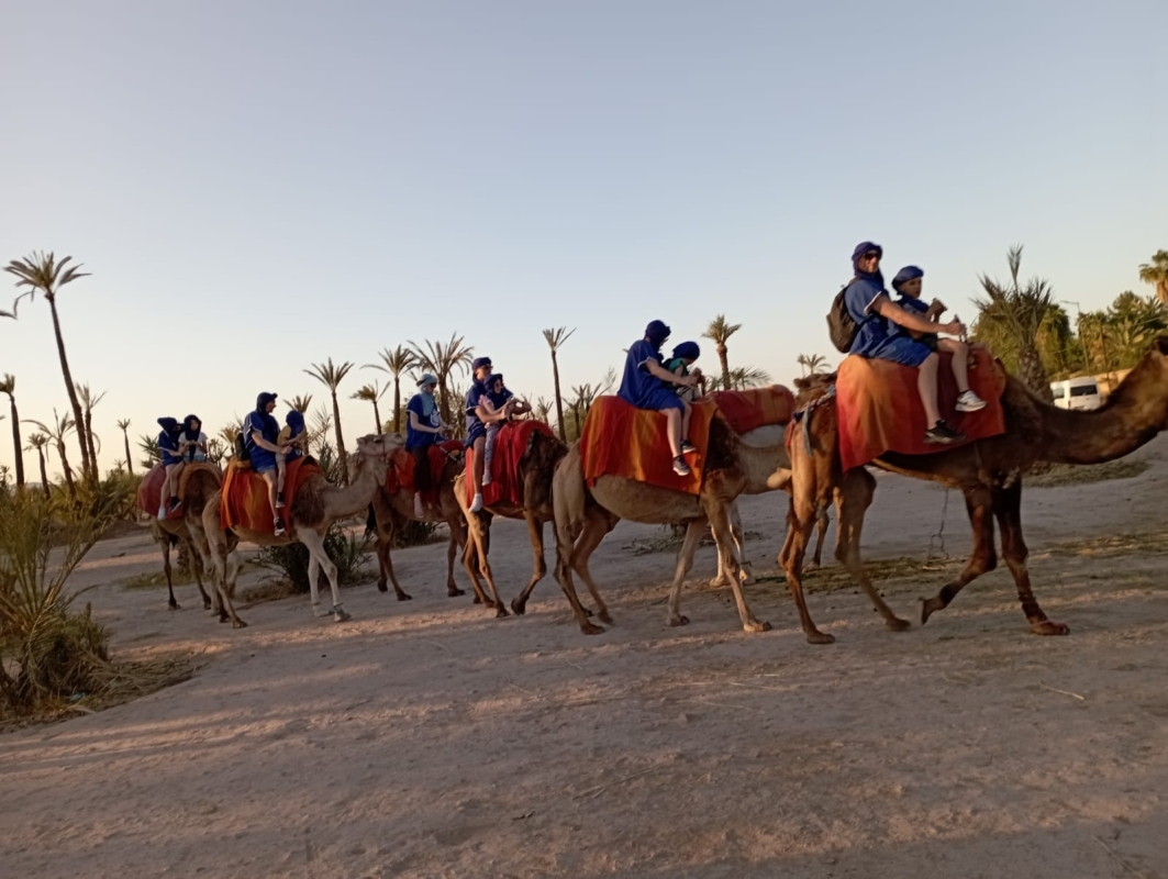 Palmeraie Marrakech: 4-Hour Adventure Tour with Camel, Quad & Buggy Rides 2