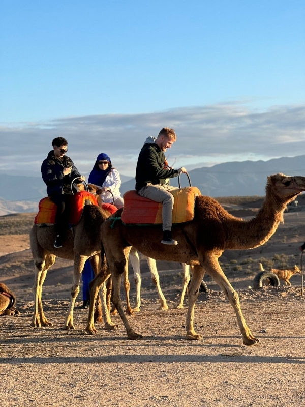 Marrakech Adventure: Buggy for 2 + Camel Riding & Dinner Show 6