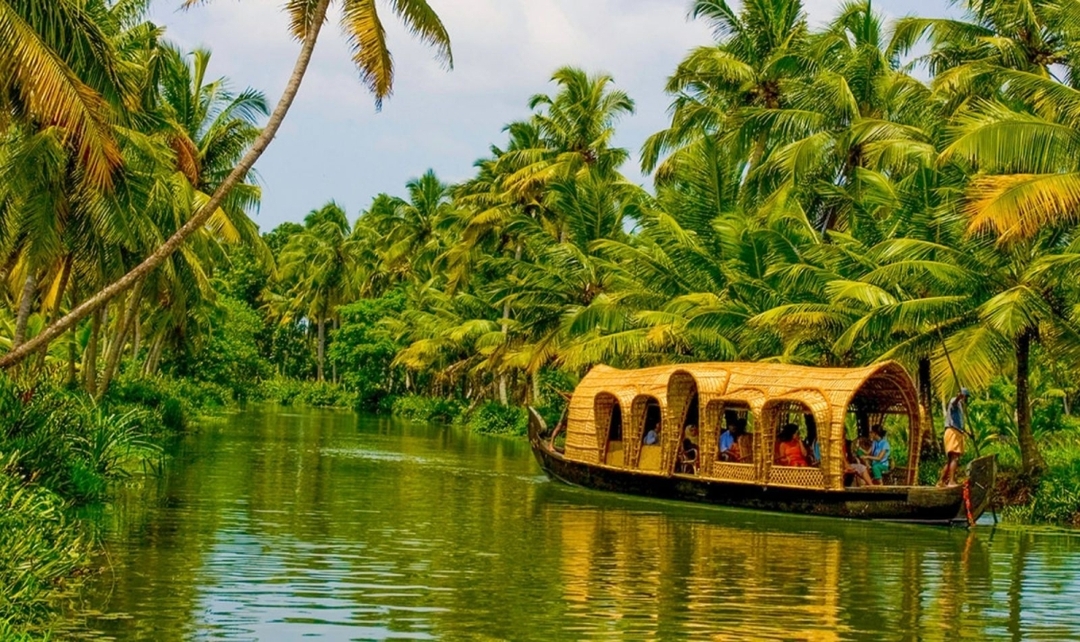 Kerala Backwaters & Wildlife Experience 5