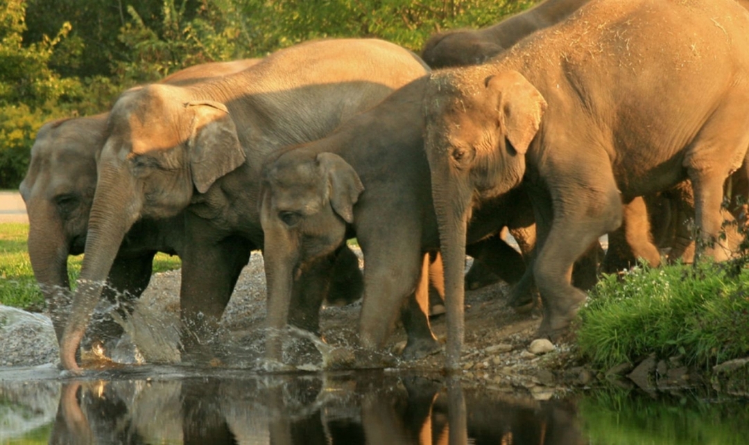Kerala Backwaters and Exotic Beaches 1