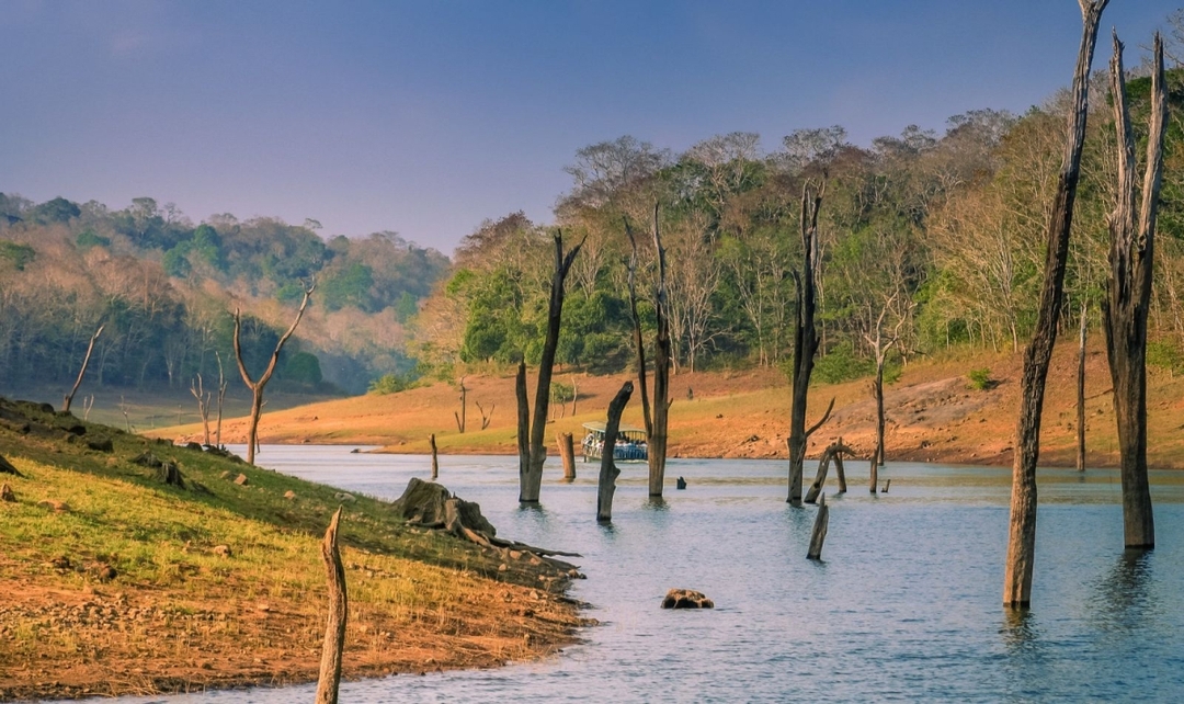 Kerala Backwaters and Exotic Beaches 2