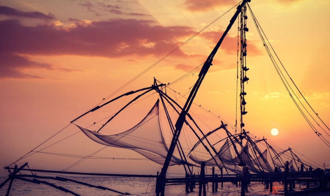 Kerala Backwaters and Exotic Beaches 10