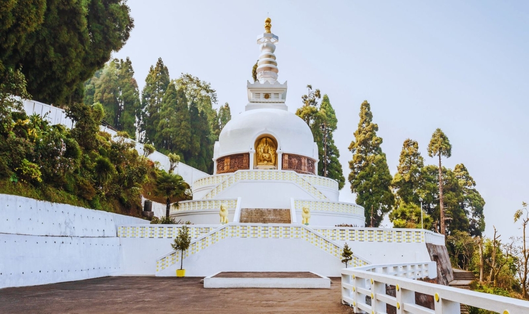 Assam, Darjeeling & Bhutan Odyssey 5