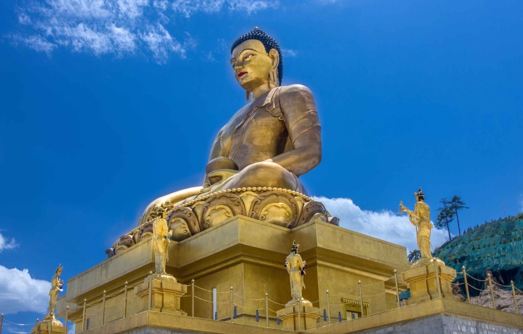 Assam, Darjeeling & Bhutan Odyssey 6