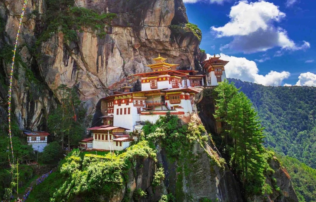 Assam, Darjeeling & Bhutan Odyssey 9