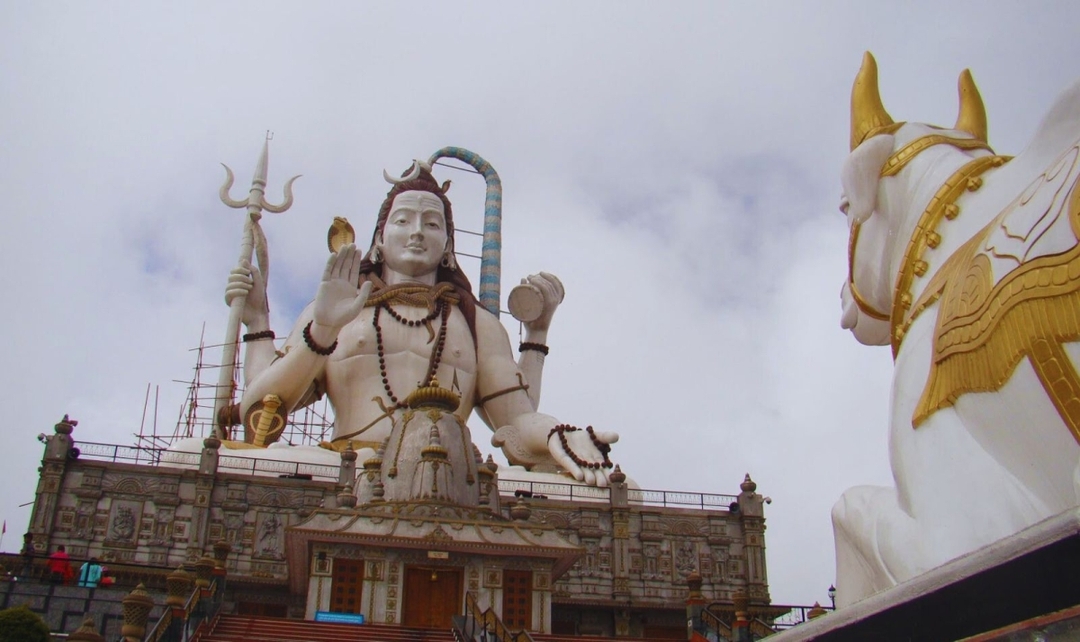 Eastern Himalayas, Gangtok to Darjeeling Experience 5