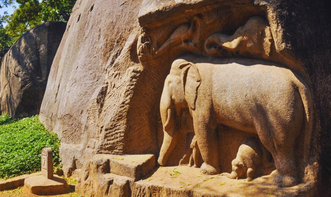 South India Heritage & Backwaters Tour 8