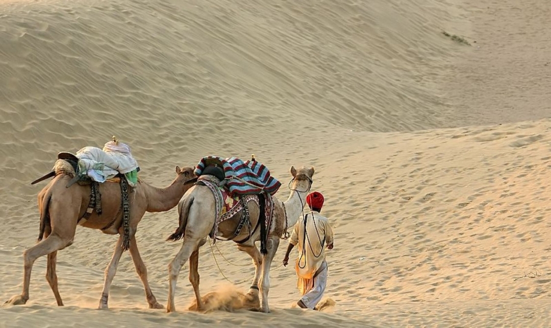 Rajasthan Forts & Desert Experience from Mumbai 9