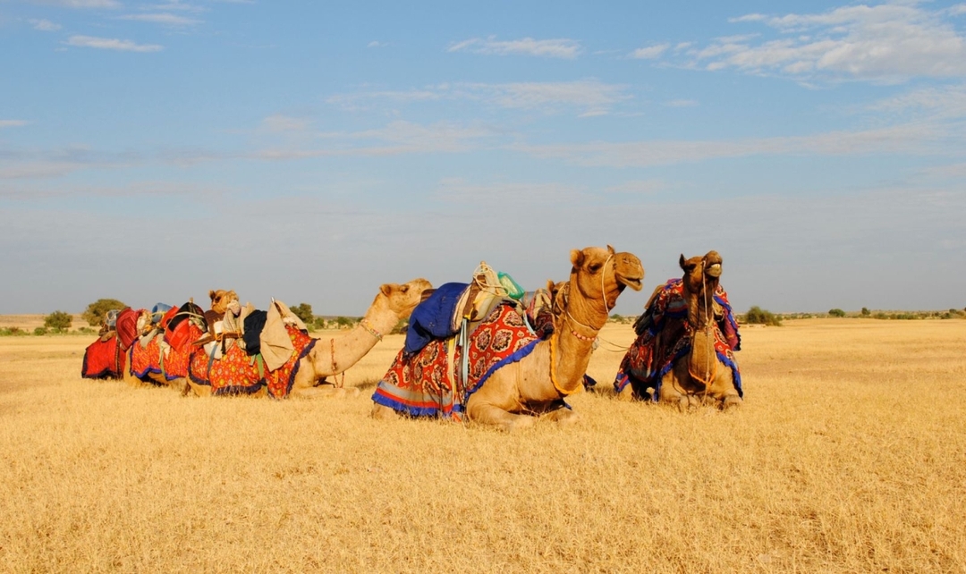 Grand Rajasthan Heritage & Varanasi Experience 10