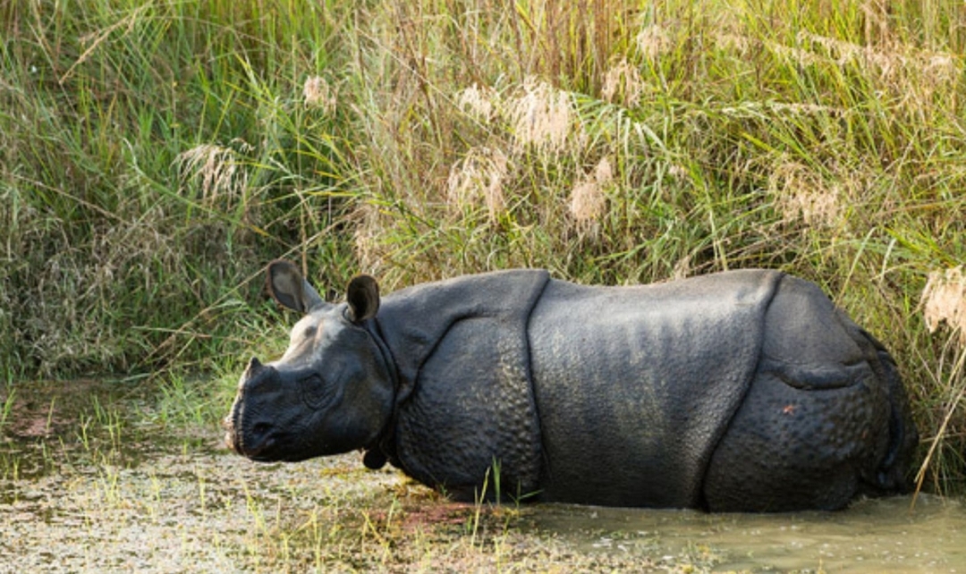 Amazing Northeast India 1