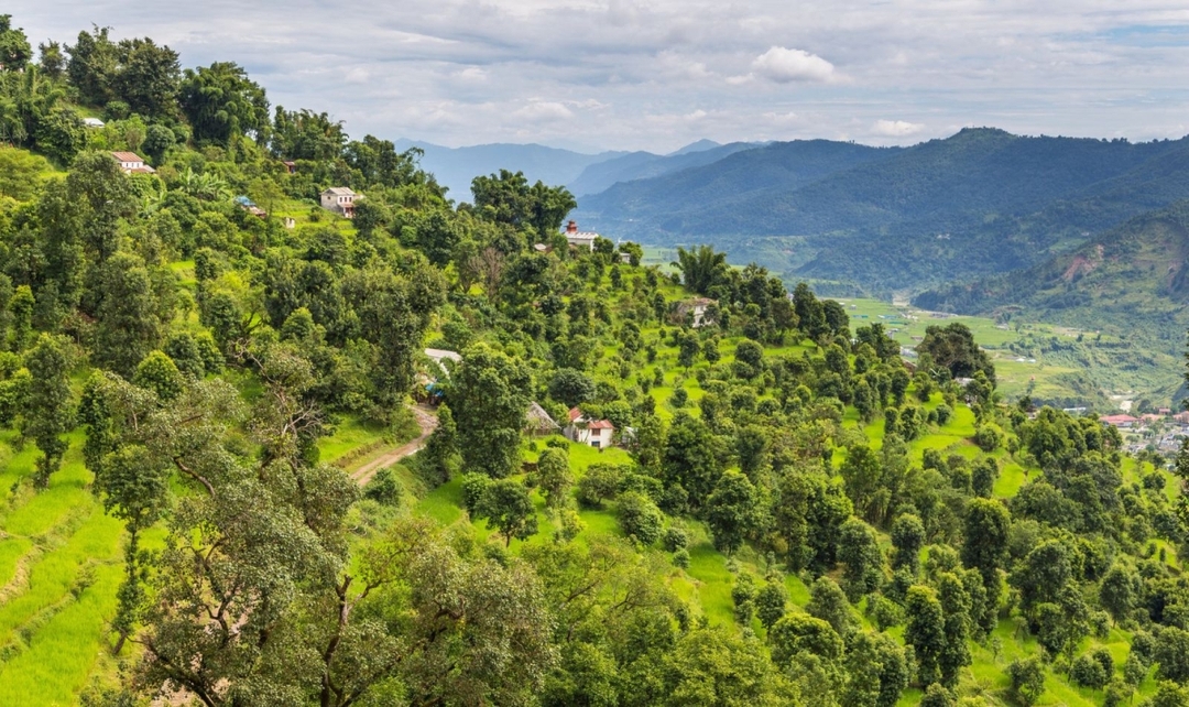 Amazing Northeast India 7