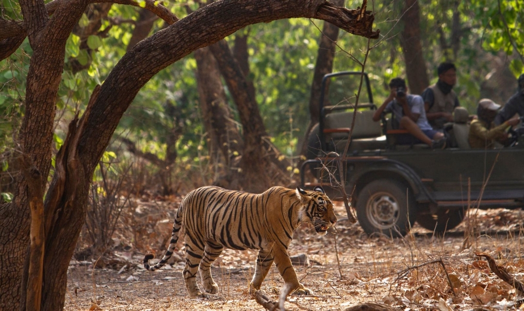 North India Tour with Goa 2
