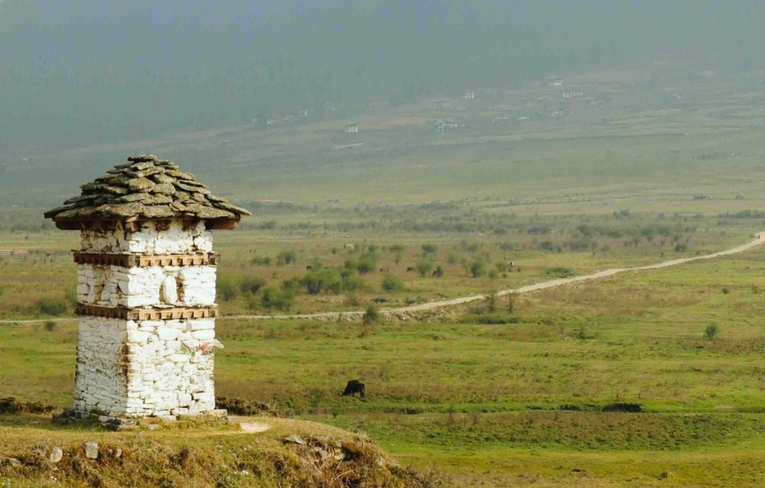 Eastern India to Bhutan Panorama Tour 10