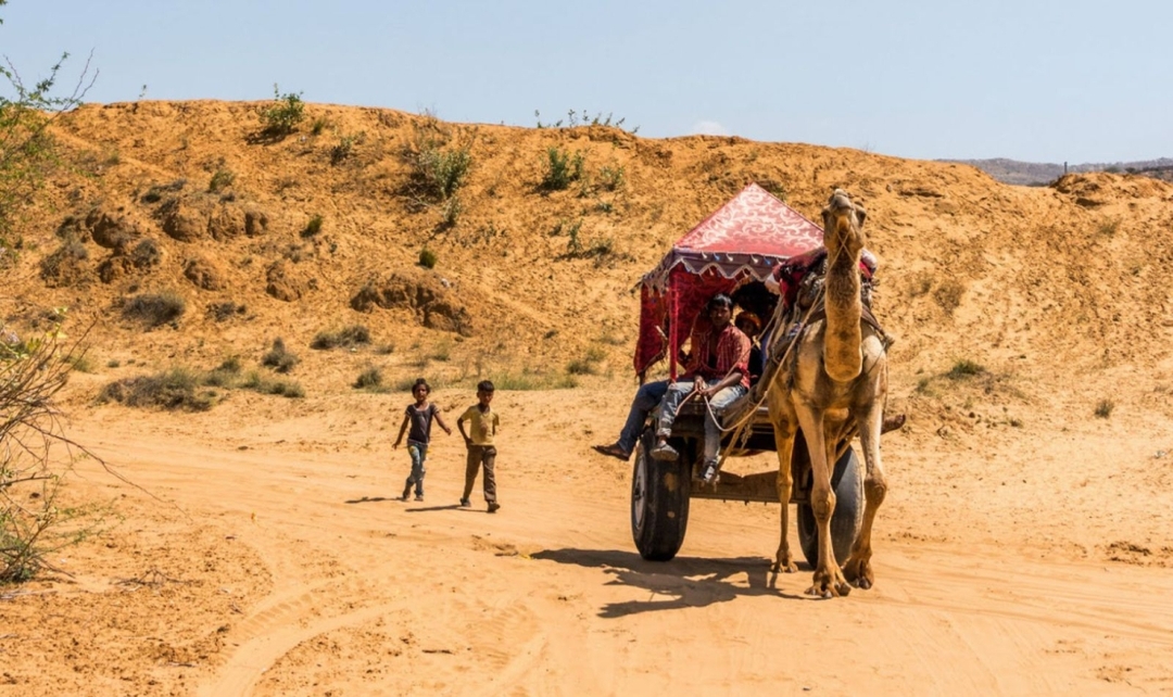 Ranthambore and the Royal Heritage of India 4