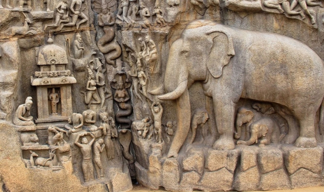 Ranthambore and the Royal Heritage of India 10