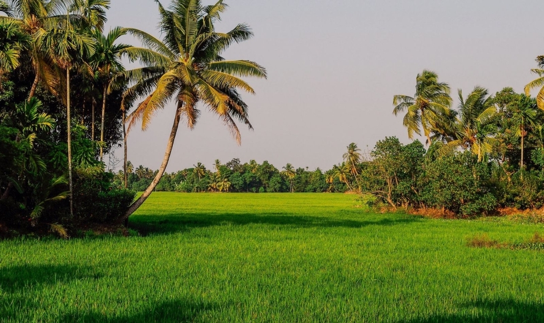 Incredible India & Kerala Retreat 10