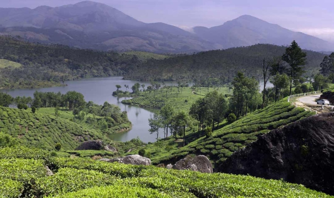 Golden Triangle Tour with North East India 8