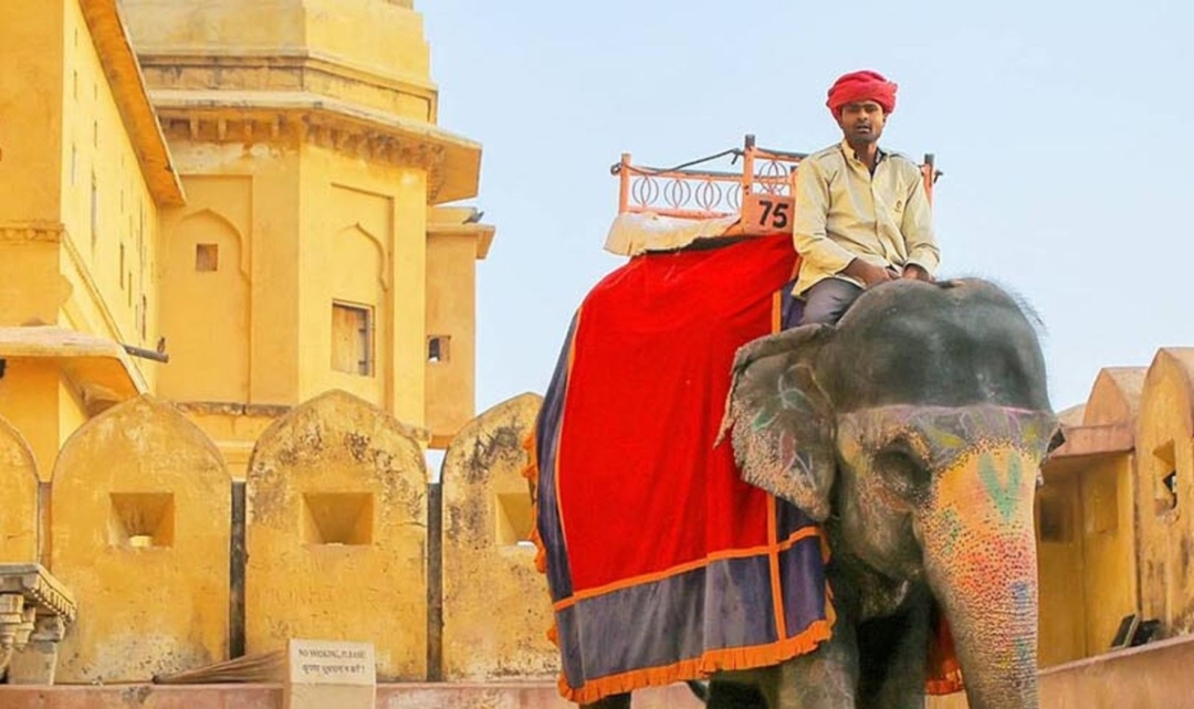 Golden Triangle Tour with Kerala 10