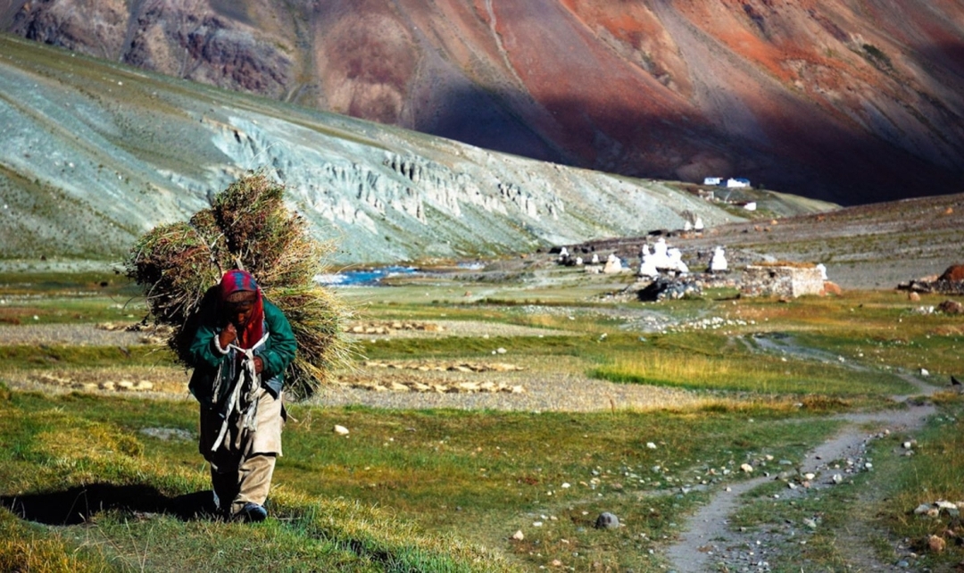 India Golden Triangle with Leh & Ladakh 1