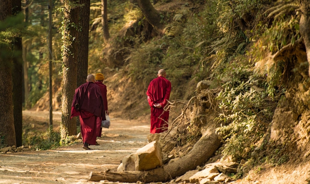 Himachal Sojourn Tour 6