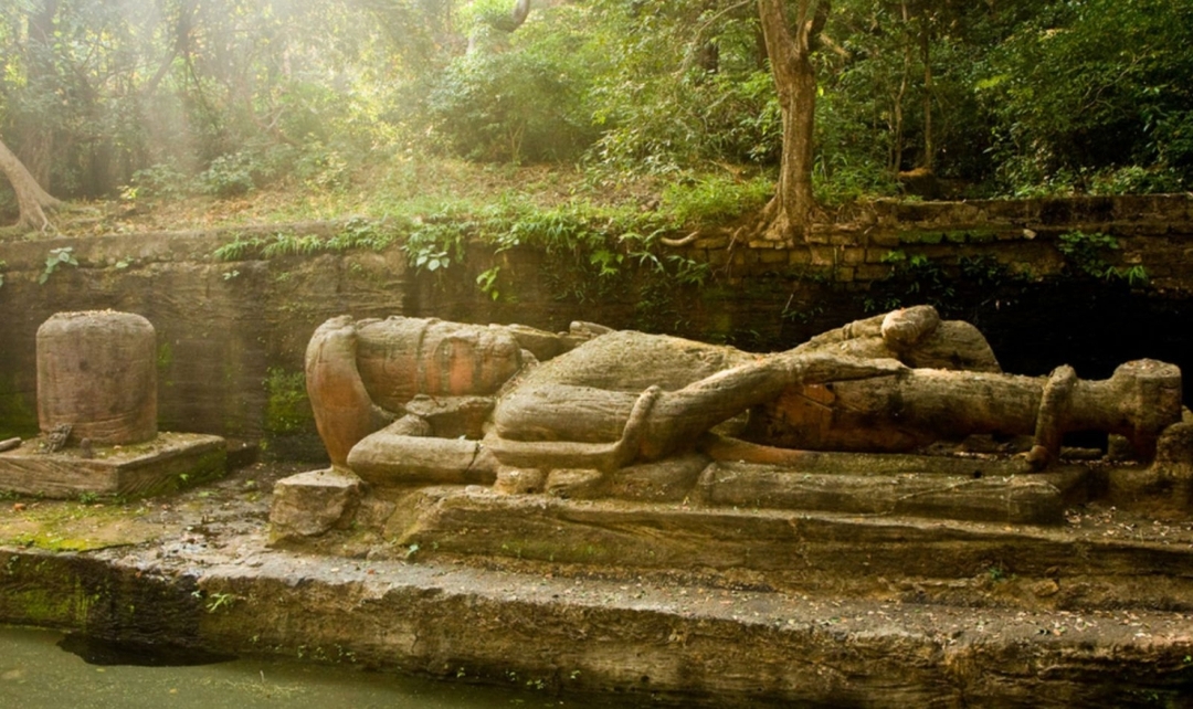 India Tiger Photography Tour 6