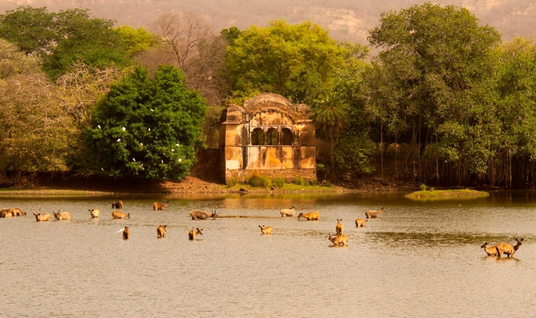 North India Highlights 5