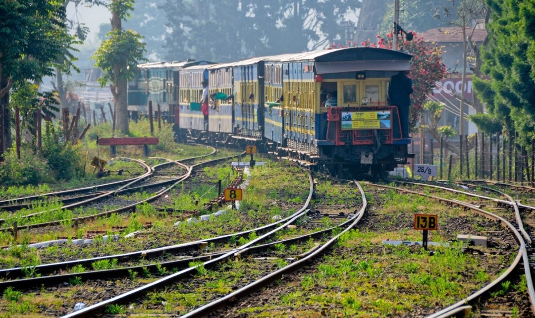 Southern India Heritage & Nagarhole Wildlife Tour 4