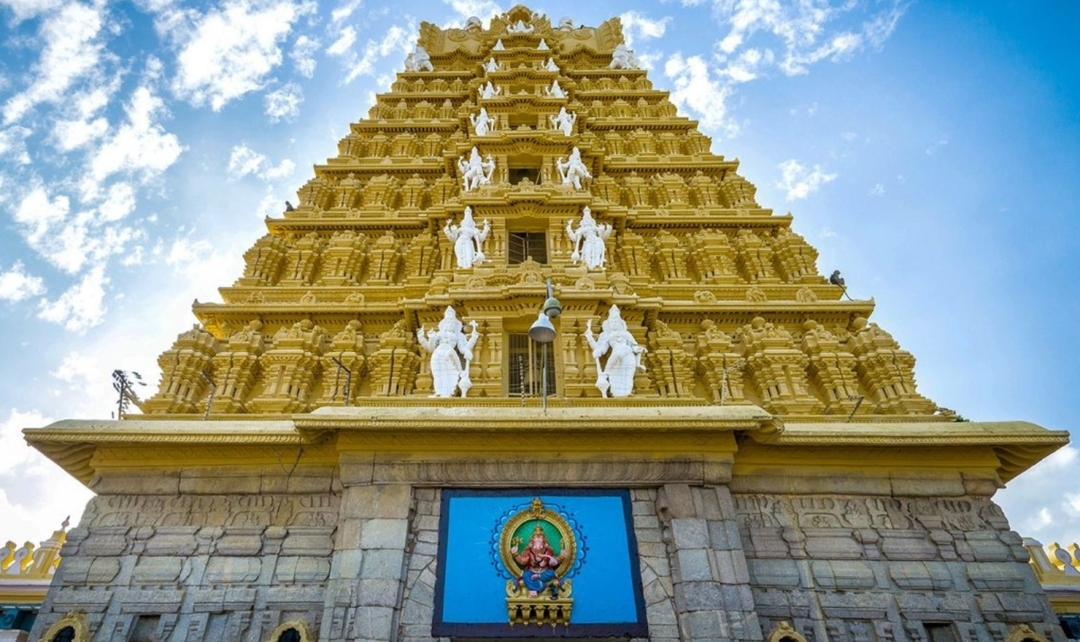 Southern India Heritage & Nagarhole Wildlife Tour 10