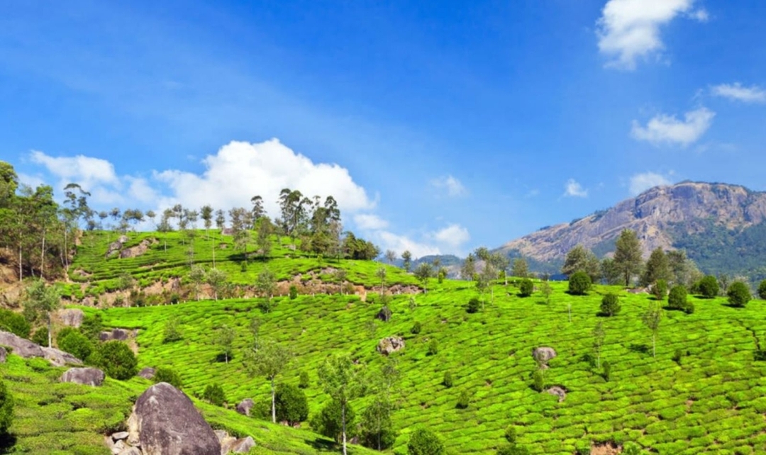 Southern India Cultural & Scenic Highlights Tour 7