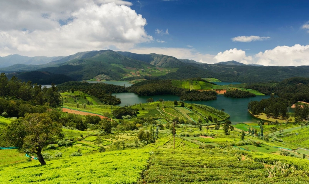 Grand Southern India, Karnataka, Tamil Nadu & Kerala Experience 3