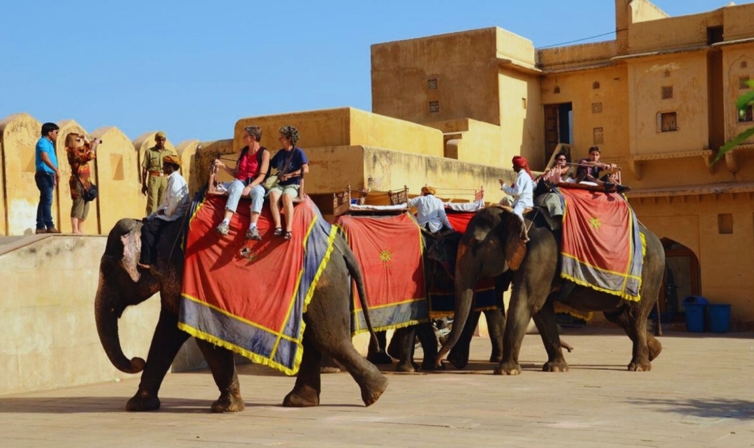 Northern India & Ranthambore Safari Experience 10