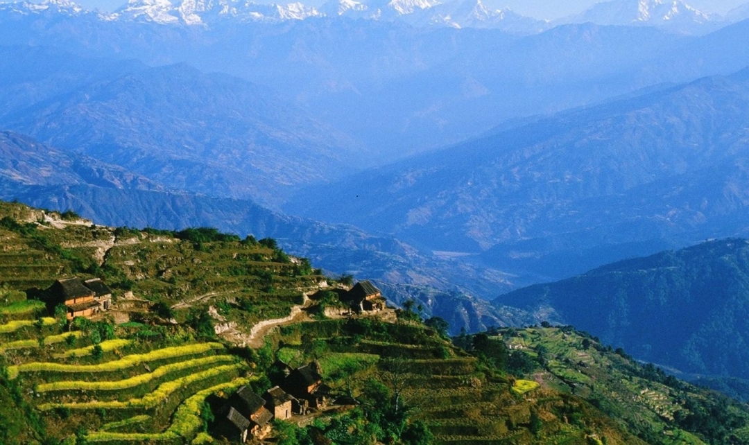 Majestic Nepal 8