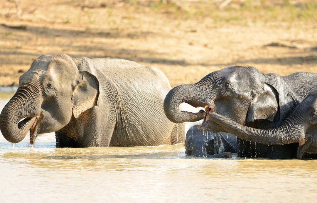 Sri Lanka, The Enchanted Island 8