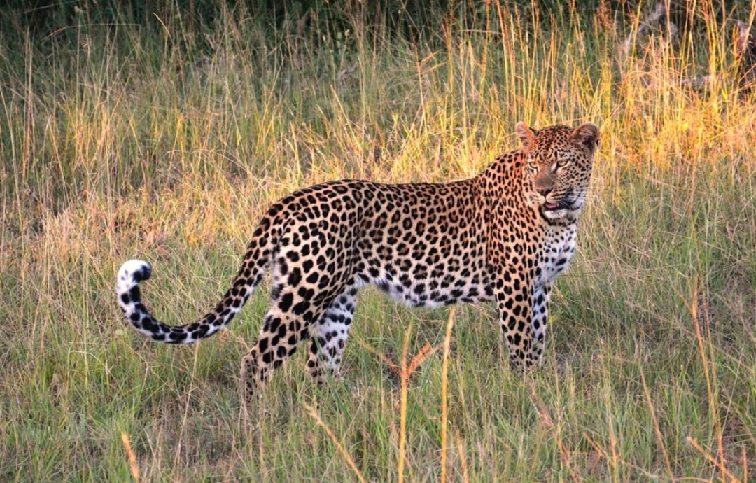Sri Lanka, The Enchanted Island 9