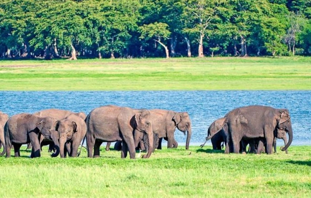 Sri Lanka in Luxury 8