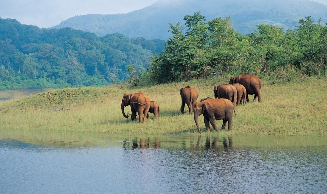 Kerala with Alleppey Tour 8