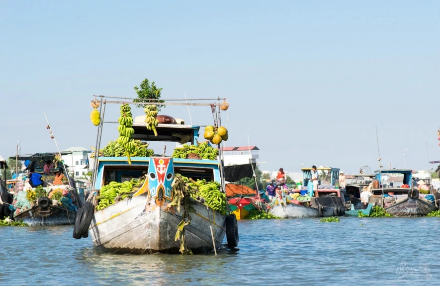 6 Days Vietnam Southern Tour 12