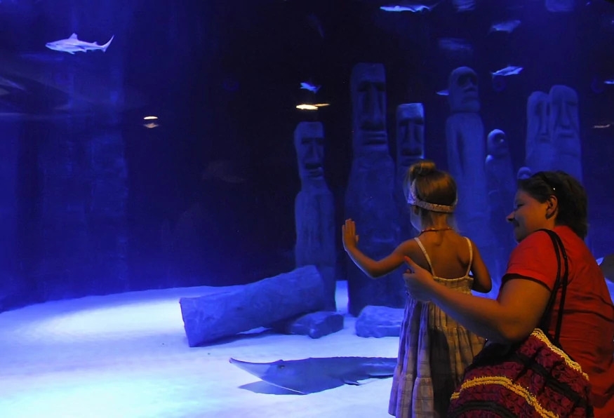 Antalya Aquarium Tour – Skip the Line & Explore the World’s Longest Tunnel Aquarium 10