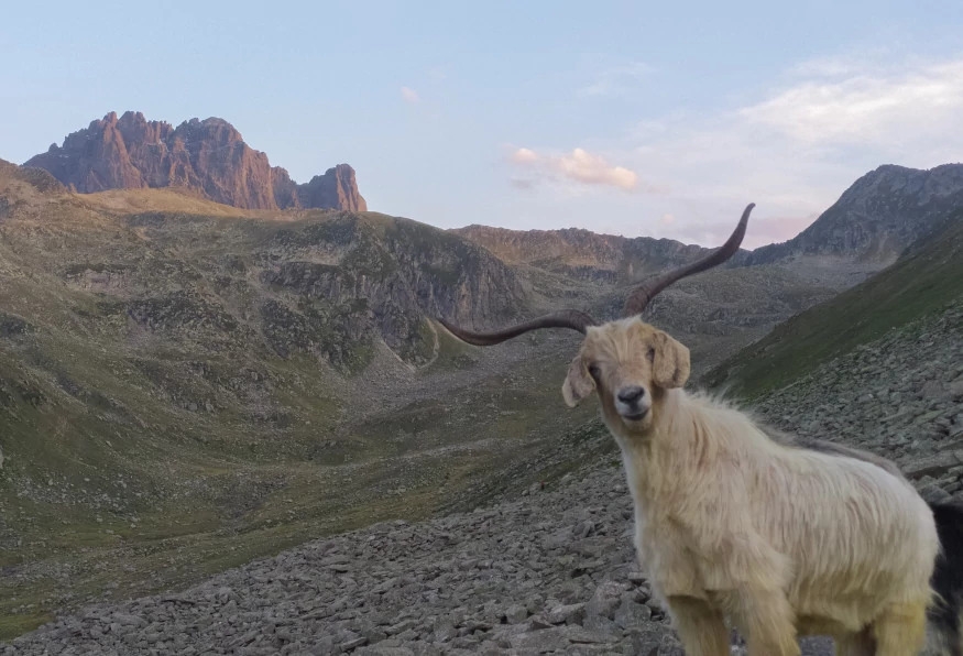Daily Ayder Tour from Erzurum 18