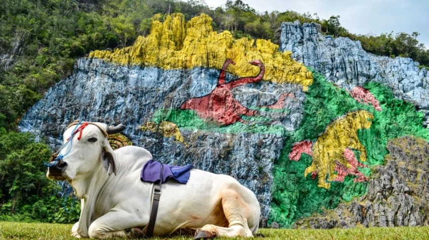 14 Days Experience Cuba Tour from West to East 7