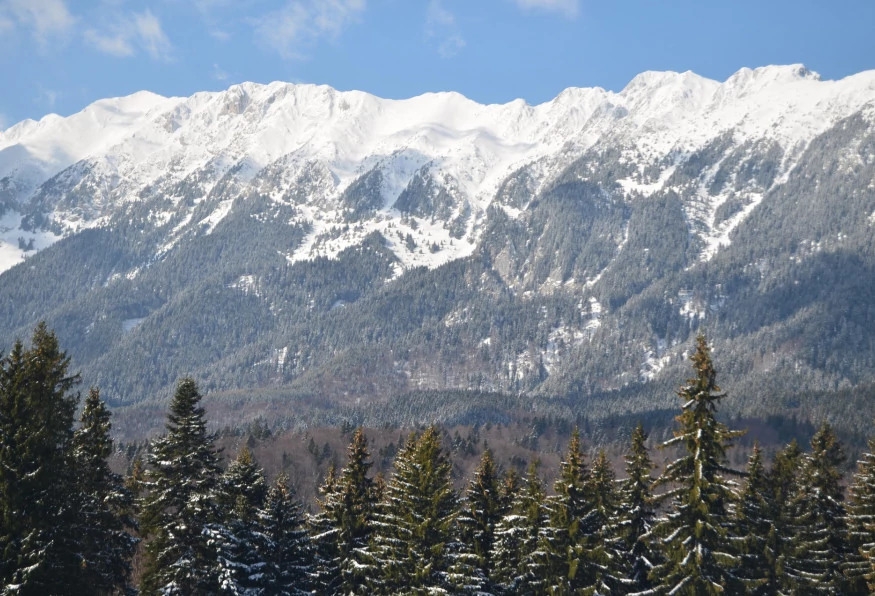 Private Hiking and Bear Watching in the Carpathian 8