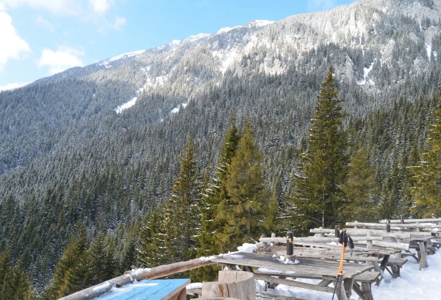 Private Hiking and Bear Watching in the Carpathian 10