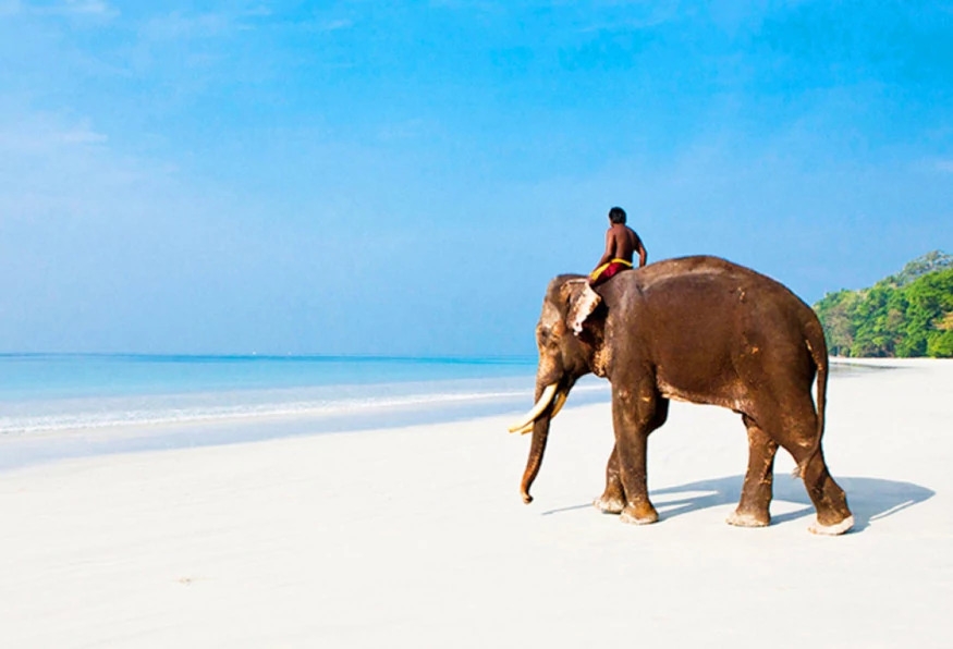6 Days Magical Andaman Tour 4
