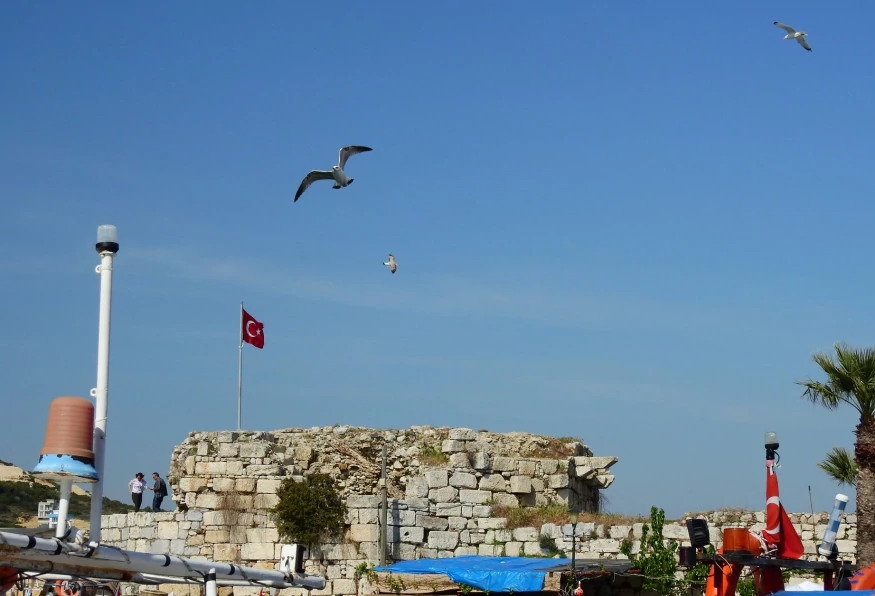 Daily Teos Ancient City & Sigacik Tour from Aydin 5