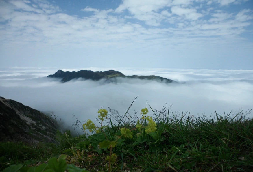 Daily Rize Ayder Tour 2