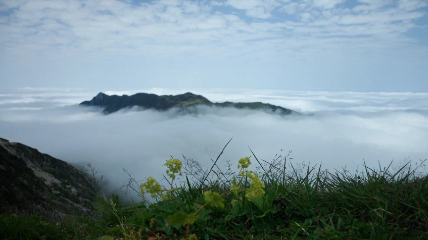 Daily Rize Cultural Tour 7